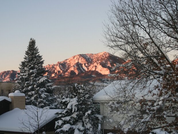 Snowy Christmas